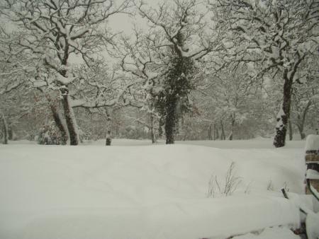 encore la neige!!